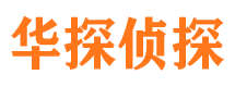 延长市调查公司